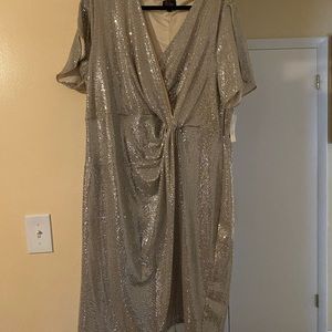 Brand new silver sequin dress